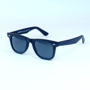 Premium_RB_Wayfarer
